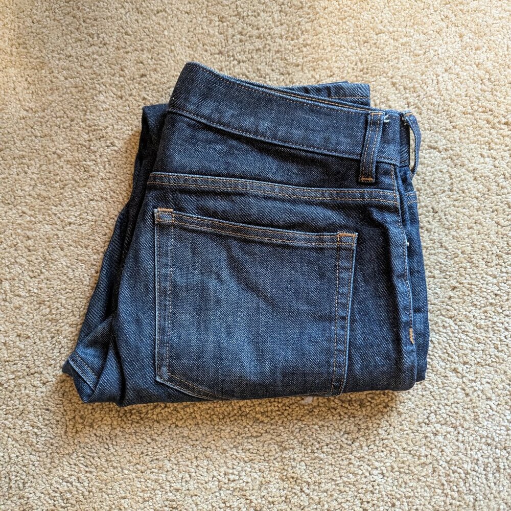 Everlane Indigo Skinny Jeans